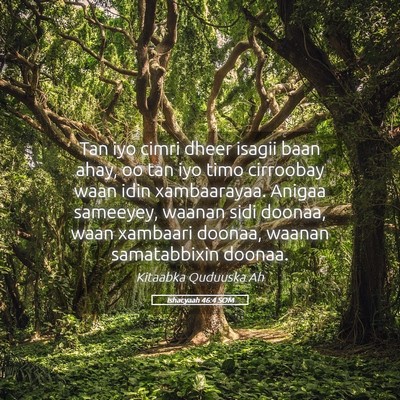 Picture 05 - Ishacyaah 46:4 SOM - Tan iyo cimri dheer isagii baan ahay, oo tan iyo - Bible Verse Picture