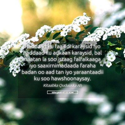Picture 05 - Ishacyaah 47:12 SOM - Haddaad ku faa'iidi karaysid iyo haddaad ku - Bible Verse Picture