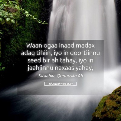 Picture 05 - Ishacyaah 48:4 SOM - Waan ogaa inaad madax adag tihiin, iyo in - Bible Verse Picture