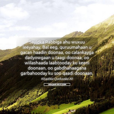 Picture 05 - Ishacyaah 49:22 SOM - Sayidka Rabbiga ahu wuxuu leeyahay, Bal eeg, - Bible Verse Picture