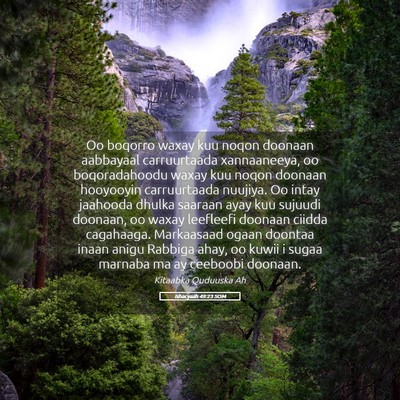 Picture 05 - Ishacyaah 49:23 SOM - Oo boqorro waxay kuu noqon doonaan aabbayaal - Bible Verse Picture
