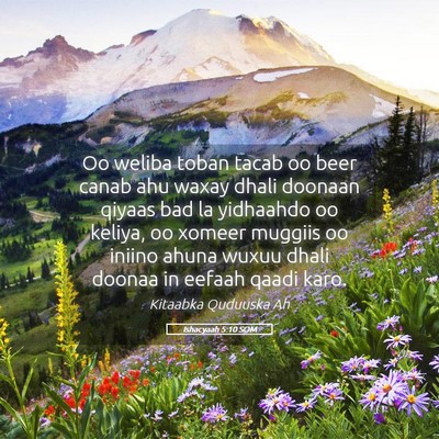Picture 05 - Ishacyaah 5:10 SOM - Oo weliba toban tacab oo beer canab ahu waxay - Bible Verse Picture