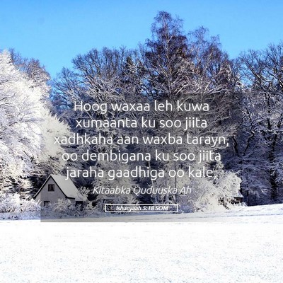 Picture 05 - Ishacyaah 5:18 SOM - Hoog waxaa leh kuwa xumaanta ku soo jiita - Bible Verse Picture