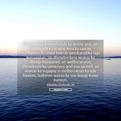 Picture 05 - Ishacyaah 5:2 SOM - Oo wuxuu hareereheeda ka qoday god, oo dagaxyadii - Bible Verse Picture