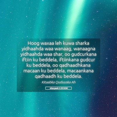 Picture 05 - Ishacyaah 5:20 SOM - Hoog waxaa leh kuwa sharka yidhaahda waa wanaag, - Bible Verse Picture