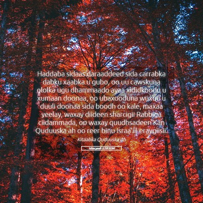 Picture 05 - Ishacyaah 5:24 SOM - Haddaba sidaas daraaddeed sida carrabka dabku - Bible Verse Picture
