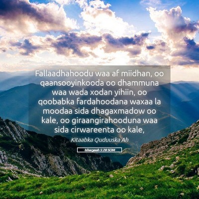 Picture 05 - Ishacyaah 5:28 SOM - Fallaadhahoodu waa af miidhan, oo qaansooyinkooda - Bible Verse Picture