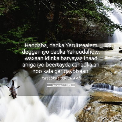 Picture 05 - Ishacyaah 5:3 SOM - Haddaba, dadka Yeruusaalem deggan iyo dadka - Bible Verse Picture