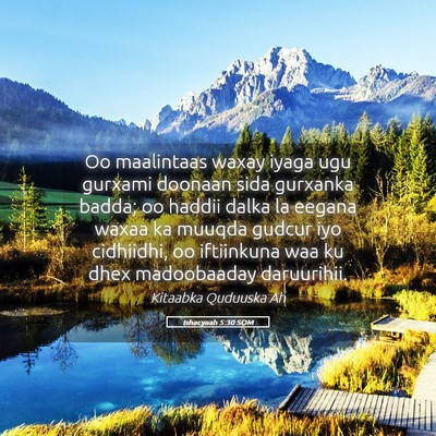 Picture 05 - Ishacyaah 5:30 SOM - Oo maalintaas waxay iyaga ugu gurxami doonaan - Bible Verse Picture
