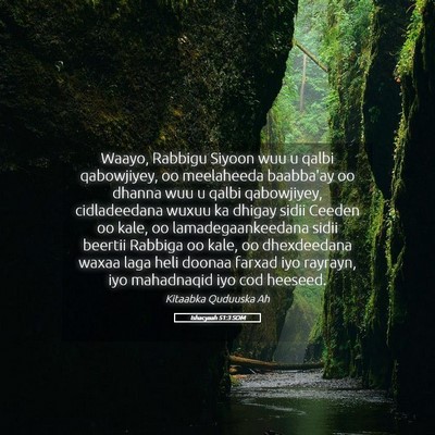 Picture 05 - Ishacyaah 51:3 SOM - Waayo, Rabbigu Siyoon wuu u qalbi qabowjiyey, oo - Bible Verse Picture