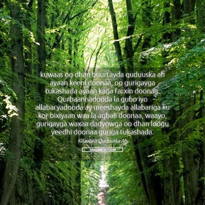 Picture 05 - Ishacyaah 56:7 SOM - kuwaas oo dhan buurtayda quduuska ah ayaan keeni - Bible Verse Picture