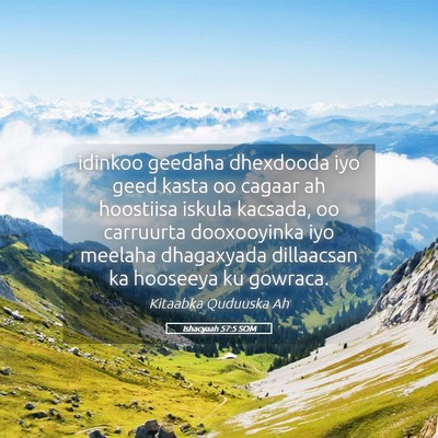 Picture 05 - Ishacyaah 57:5 SOM - idinkoo geedaha dhexdooda iyo geed kasta oo - Bible Verse Picture