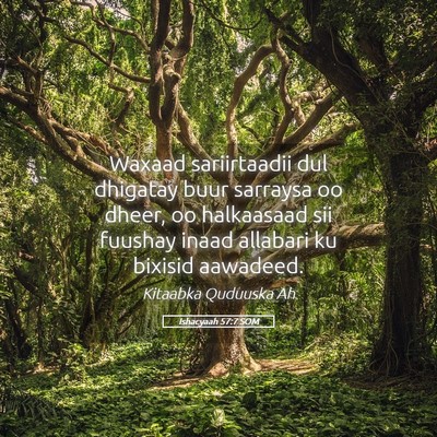 Picture 05 - Ishacyaah 57:7 SOM - Waxaad sariirtaadii dul dhigatay buur sarraysa oo - Bible Verse Picture