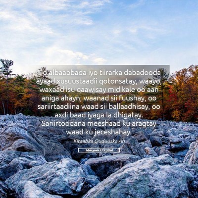 Picture 05 - Ishacyaah 57:8 SOM - Oo albaabbada iyo tiirarka dabadooda ayaad - Bible Verse Picture