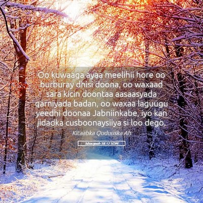 Picture 05 - Ishacyaah 58:12 SOM - Oo kuwaaga ayaa meelihii hore oo burburay dhisi - Bible Verse Picture