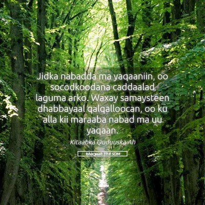 Picture 05 - Ishacyaah 59:8 SOM - Jidka nabadda ma yaqaaniin, oo socodkoodana - Bible Verse Picture