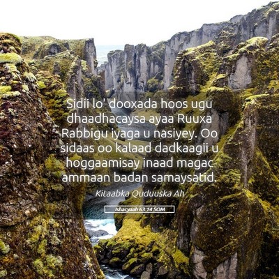 Picture 05 - Ishacyaah 63:14 SOM - Sidii lo' dooxada hoos ugu dhaadhacaysa ayaa - Bible Verse Picture