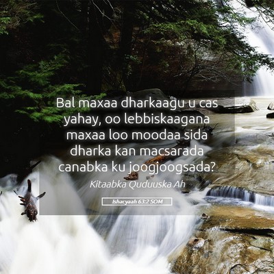 Picture 05 - Ishacyaah 63:2 SOM - Bal maxaa dharkaagu u cas yahay, oo lebbiskaagana - Bible Verse Picture