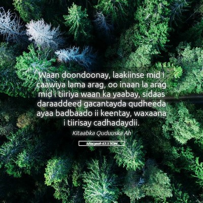 Picture 05 - Ishacyaah 63:5 SOM - Waan doondoonay, laakiinse mid i caawiya lama - Bible Verse Picture