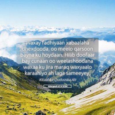 Picture 05 - Ishacyaah 65:4 SOM - Waxay fadhiyaan xabaalaha dhexdooda, oo meelo - Bible Verse Picture