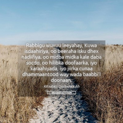 Picture 05 - Ishacyaah 66:17 SOM - Rabbigu wuxuu leeyahay, Kuwa isdaahiriya, oo - Bible Verse Picture