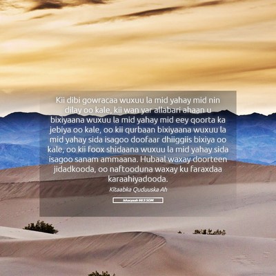 Picture 05 - Ishacyaah 66:3 SOM - Kii dibi gowracaa wuxuu la mid yahay mid nin - Bible Verse Picture