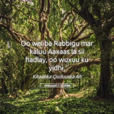 Picture 05 - Ishacyaah 7:10 SOM - Oo weliba Rabbigu mar kaluu Aaxaas la sii hadlay, - Bible Verse Picture