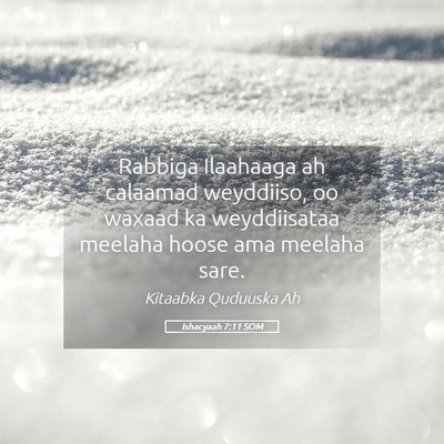 Picture 05 - Ishacyaah 7:11 SOM - Rabbiga Ilaahaaga ah calaamad weyddiiso, oo - Bible Verse Picture