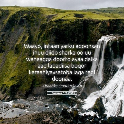 Picture 05 - Ishacyaah 7:16 SOM - Waayo, intaan yarku aqoonsan inuu diido sharka oo - Bible Verse Picture