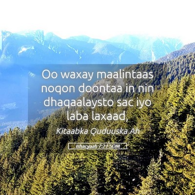 Picture 05 - Ishacyaah 7:21 SOM - Oo waxay maalintaas noqon doontaa in nin - Bible Verse Picture
