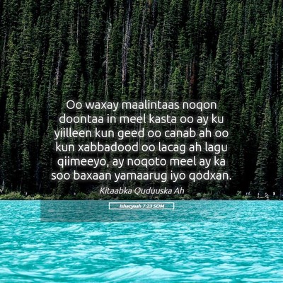 Picture 05 - Ishacyaah 7:23 SOM - Oo waxay maalintaas noqon doontaa in meel kasta - Bible Verse Picture