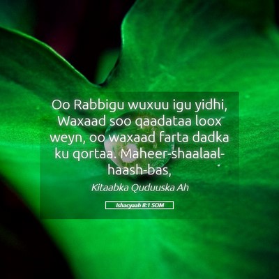 Picture 05 - Ishacyaah 8:1 SOM - Oo Rabbigu wuxuu igu yidhi, Waxaad soo qaadataa - Bible Verse Picture
