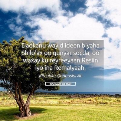 Picture 05 - Ishacyaah 8:6 SOM - Dadkanu way diideen biyaha Shilo'ax oo qunyar - Bible Verse Picture