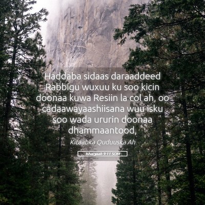 Picture 05 - Ishacyaah 9:11 SOM - Haddaba sidaas daraaddeed Rabbigu wuxuu ku soo - Bible Verse Picture