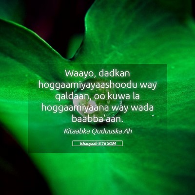 Picture 05 - Ishacyaah 9:16 SOM - Waayo, dadkan hoggaamiyayaashoodu way qaldaan, oo - Bible Verse Picture