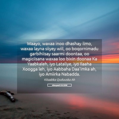 Picture 05 - Ishacyaah 9:6 SOM - Waayo, waxaa inoo dhashay ilmo, waxaa layna - Bible Verse Picture