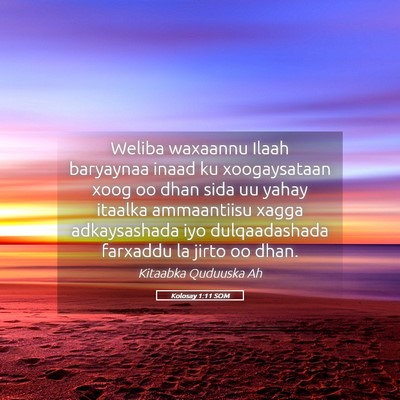 Picture 05 - Kolosay 1:11 SOM - Weliba waxaannu Ilaah baryaynaa inaad ku - Bible Verse Picture