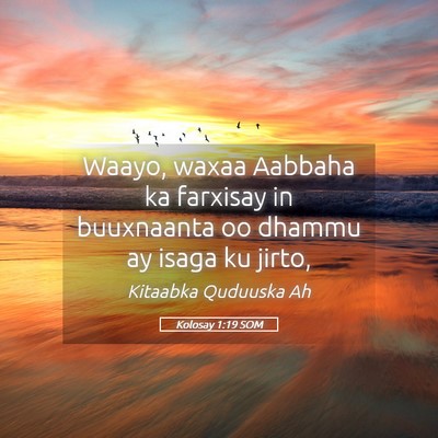Picture 05 - Kolosay 1:19 SOM - Waayo, waxaa Aabbaha ka farxisay in buuxnaanta oo - Bible Verse Picture