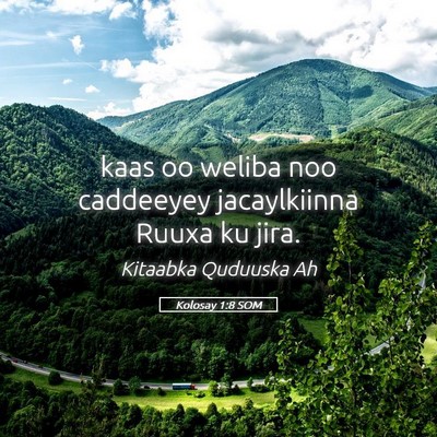 Picture 05 - Kolosay 1:8 SOM - kaas oo weliba noo caddeeyey jacaylkiinna Ruuxa - Bible Verse Picture