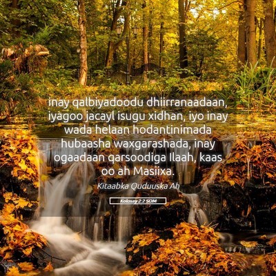 Picture 05 - Kolosay 2:2 SOM - inay qalbiyadoodu dhiirranaadaan, iyagoo jacayl - Bible Verse Picture