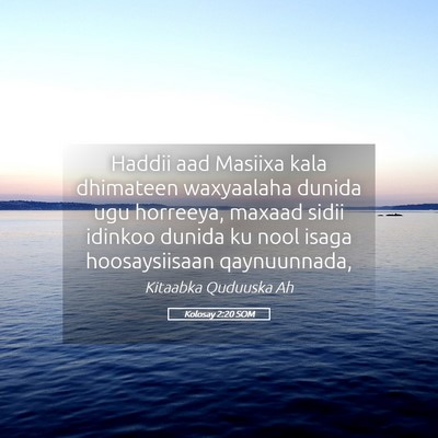 Picture 05 - Kolosay 2:20 SOM - Haddii aad Masiixa kala dhimateen waxyaalaha - Bible Verse Picture