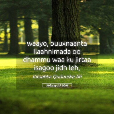 Picture 05 - Kolosay 2:9 SOM - waayo, buuxnaanta Ilaahnimada oo dhammu waa ku - Bible Verse Picture
