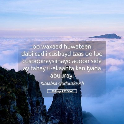 Picture 05 - Kolosay 3:10 SOM - oo waxaad huwateen dabiicadii cusbayd taas oo loo - Bible Verse Picture