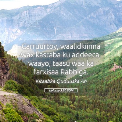 Picture 05 - Kolosay 3:20 SOM - Carruurtoy, waalidkiinna wax kastaba ku addeeca, - Bible Verse Picture