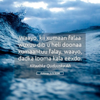Picture 05 - Kolosay 3:25 SOM - Waayo, kii xumaan falaa wuxuu dib u heli doonaa - Bible Verse Picture