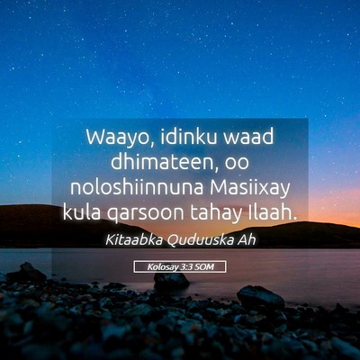 Picture 05 - Kolosay 3:3 SOM - Waayo, idinku waad dhimateen, oo noloshiinnuna - Bible Verse Picture