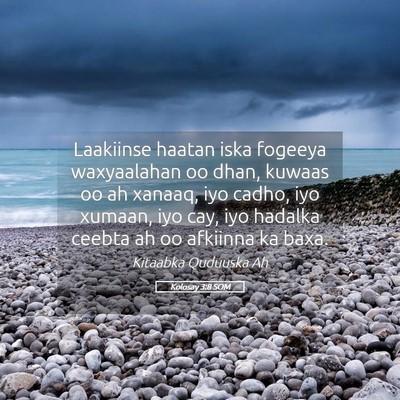 Picture 05 - Kolosay 3:8 SOM - Laakiinse haatan iska fogeeya waxyaalahan oo - Bible Verse Picture