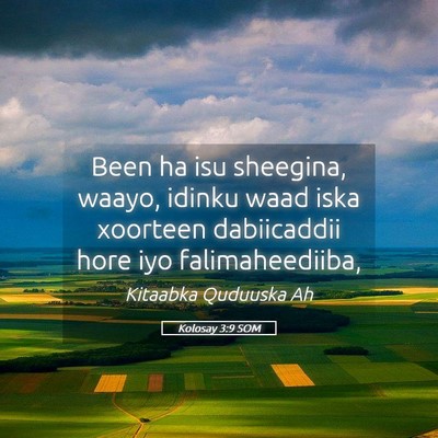 Picture 05 - Kolosay 3:9 SOM - Been ha isu sheegina, waayo, idinku waad iska - Bible Verse Picture
