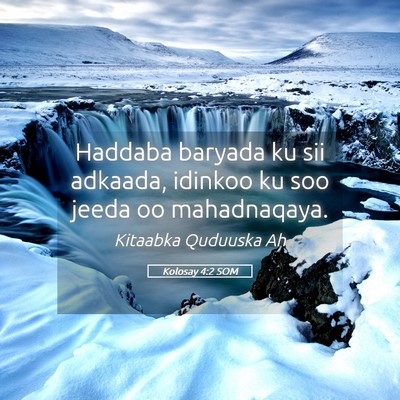 Picture 05 - Kolosay 4:2 SOM - Haddaba baryada ku sii adkaada, idinkoo ku soo - Bible Verse Picture