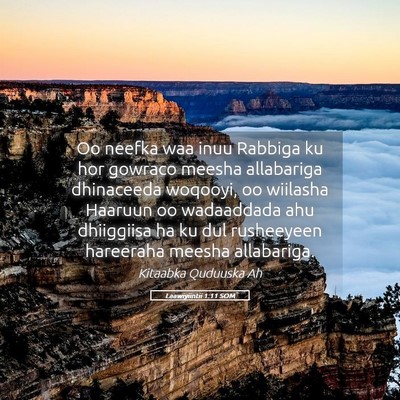 Picture 05 - Laawiyiintii 1:11 SOM - Oo neefka waa inuu Rabbiga ku hor gowraco meesha - Bible Verse Picture